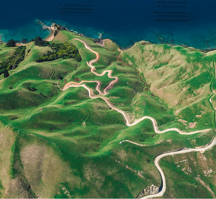 Panoramic aerial view of winding roads through lush hills